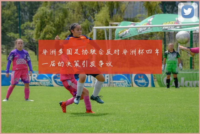 非洲多国足协联合反对非洲杯四年一届的决策引发争议