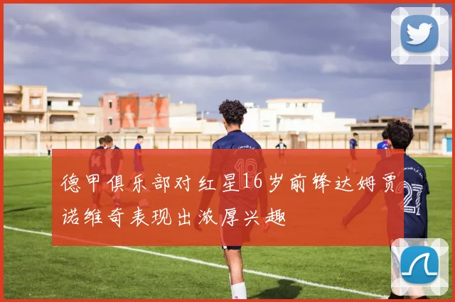德甲俱乐部对红星16岁前锋达姆贾诺维奇表现出浓厚兴趣