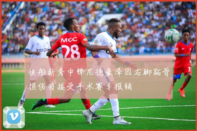 快船新秀中锋尼德豪泽因右脚跖骨损伤将接受手术赛季报销