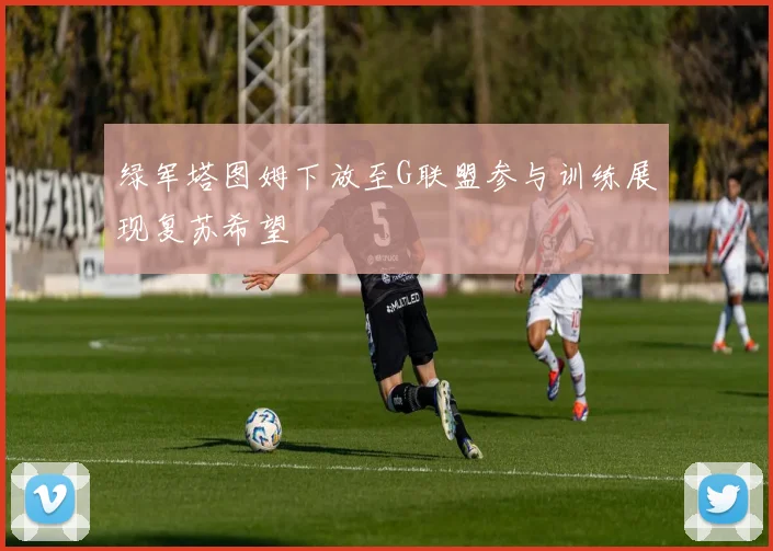 绿军塔图姆下放至G联盟参与训练展现复苏希望